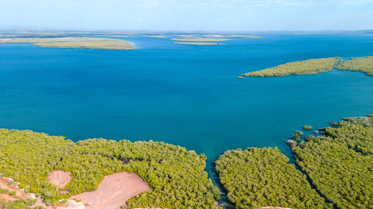Parco nazionale del Delta del Saloum